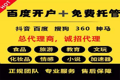 SEM推广案例：提升网站转化率策略解析
